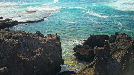 tenerife's rocky shoreline unfolds in an upward pan