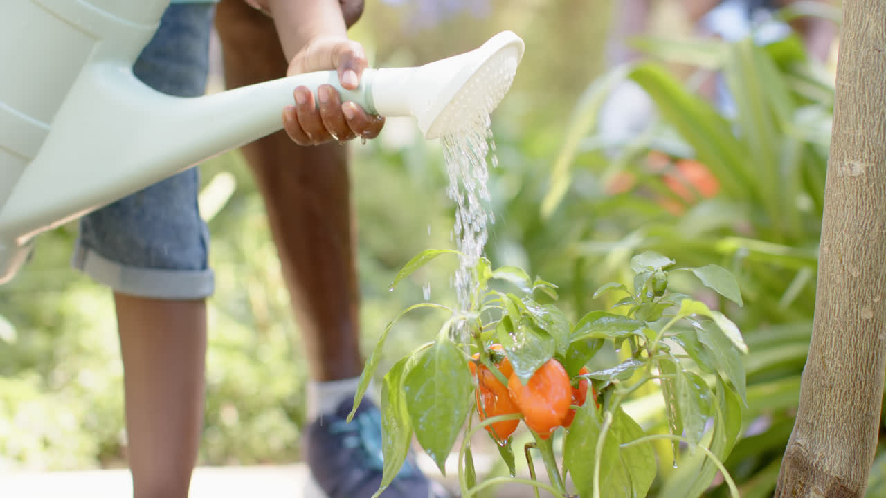 Afro-Amerikaanse grootvader met kleinzoon werkend in de tuin, in slow motion