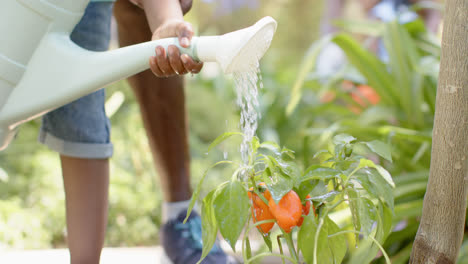 african american grandfather with grandson working in garden, in slow motion