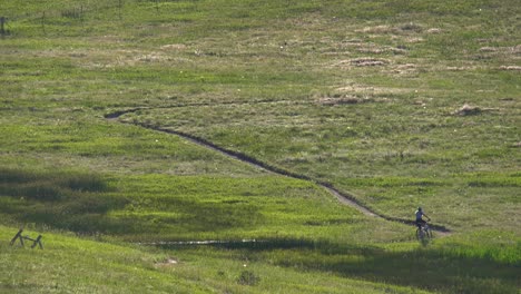 mountain biker riding in a trail