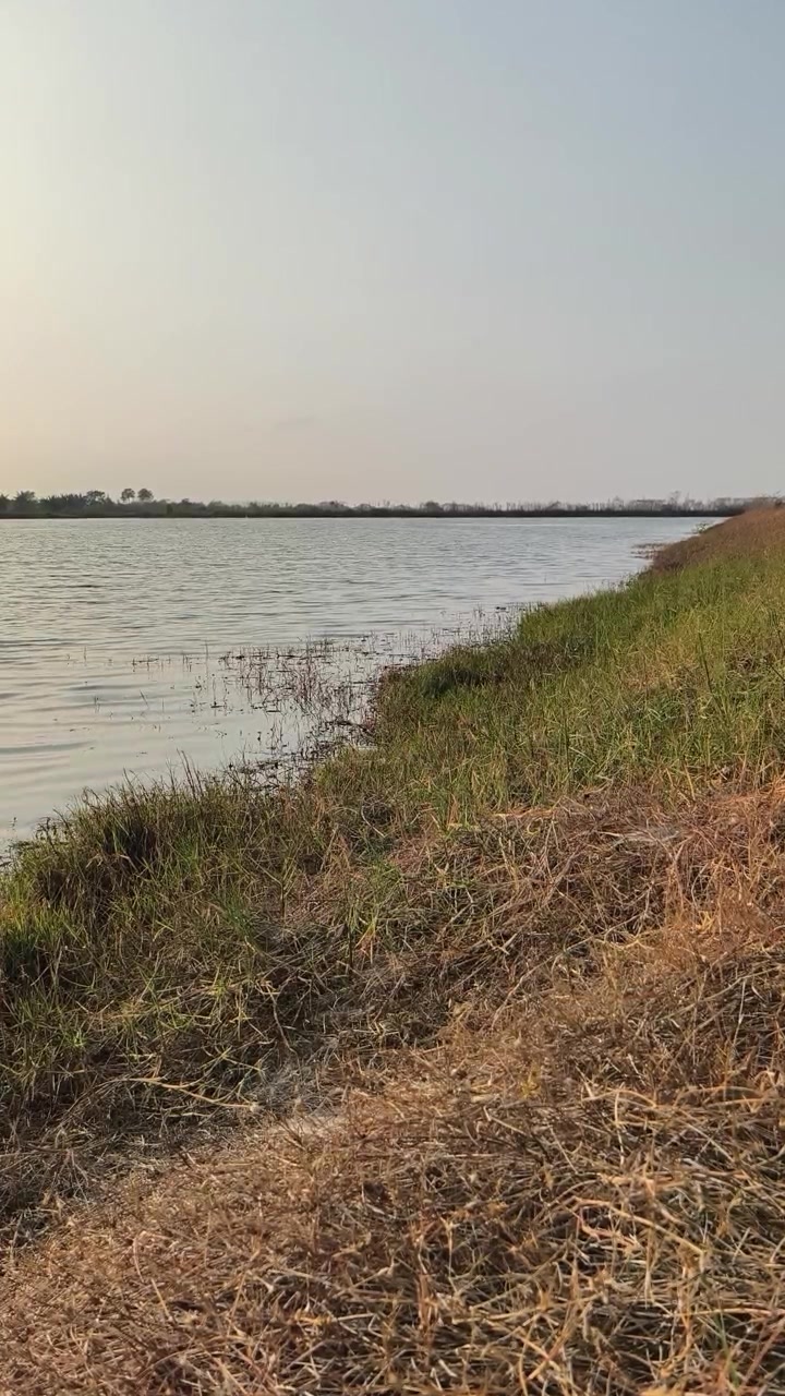 Rustige rivieroever bij zonsondergang met grasrijke oeverlijn