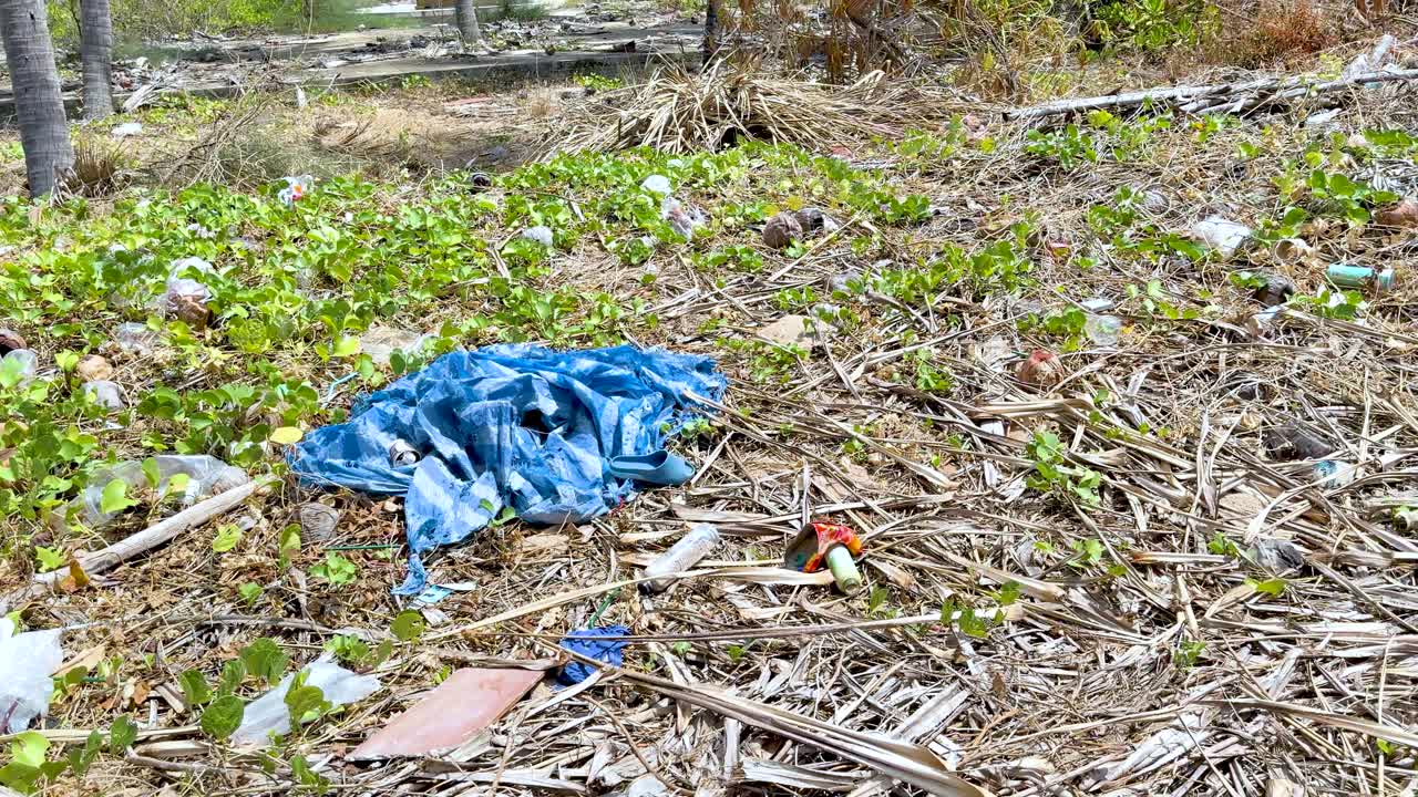 Una panoramica lenta rivela bottiglie di plastica e detriti di polistirolo che inquinano la vegetazione tropicale costiera