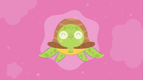 cute turtle front character animation