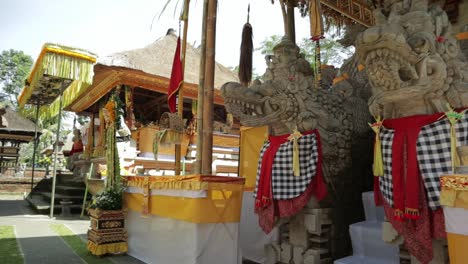 panning shot balinese man pray in temple