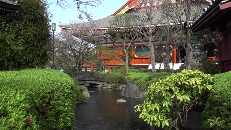 slow sideways dolly across beautiful japanese landscape garden with pond