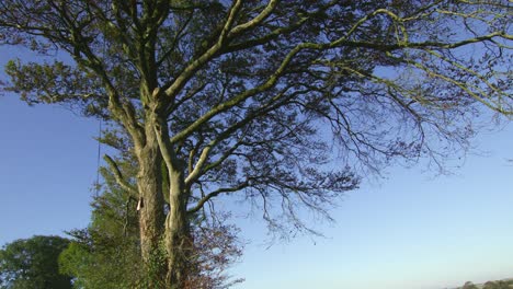 Tranquil-countryside-scene