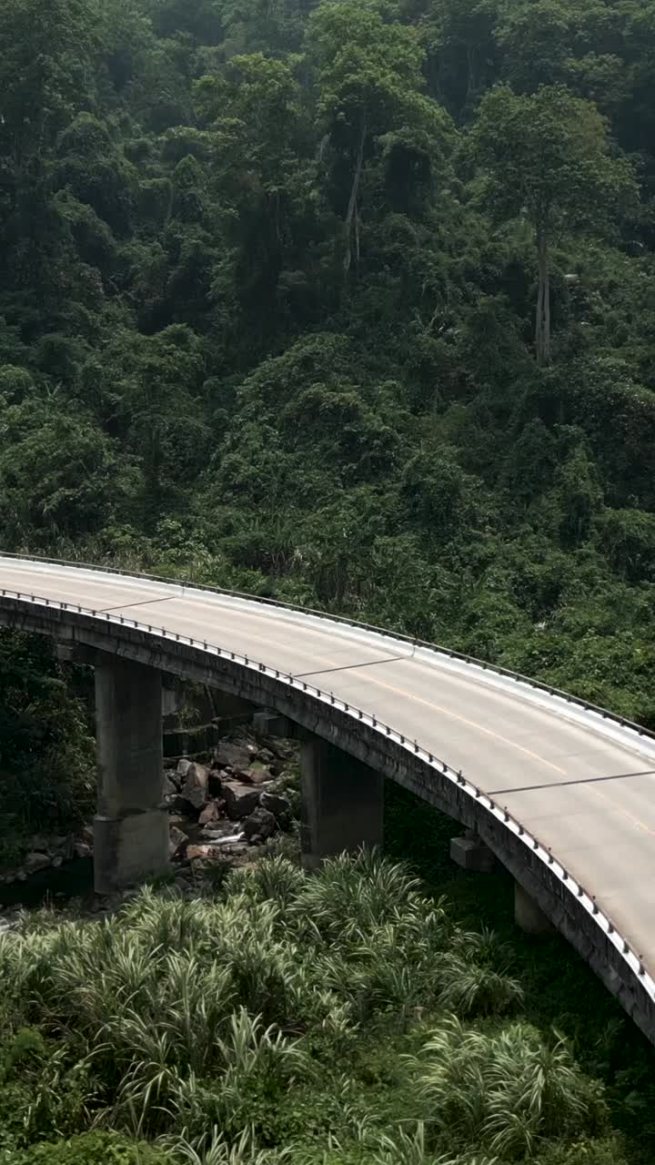 Bridge over a lush green forest