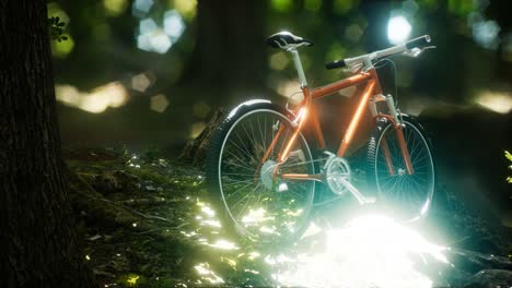 Bicicleta-De-Montaña-En-El-Camino-Del-Bosque