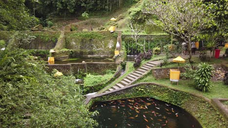 Antike-Balinesische-Hinduistische-Mengening-Tempelarchitektur,-Dschungelwald,-Goldener-Fischteich-Im-Reiseziel-Bali,-Indonesien