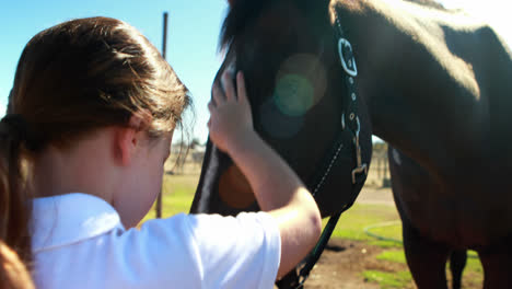 girl caressing the horse in the ranch 4k