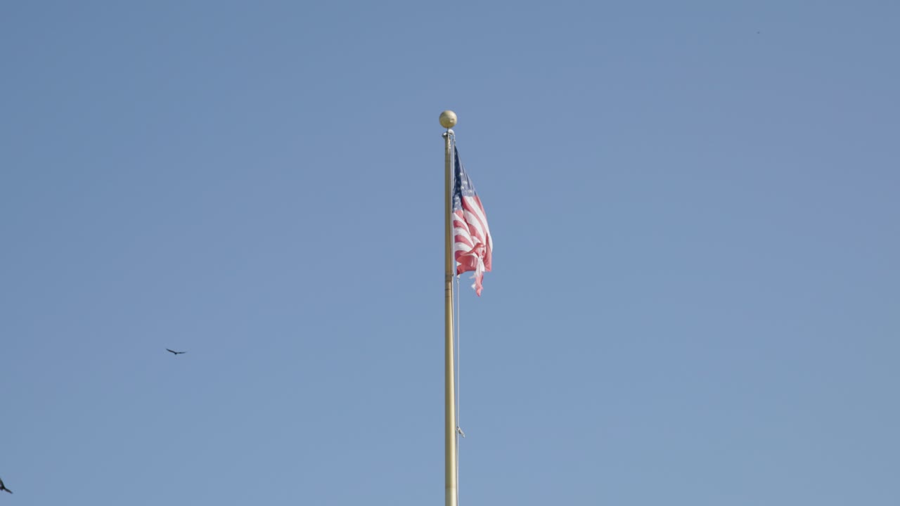 Filmagem em câmera lenta de uma bandeira americana desgastada tremulando ao vento com abutres voando no plano de fundo. Imagens simbólicas da vida selvagem, da nação e do meio ambiente.