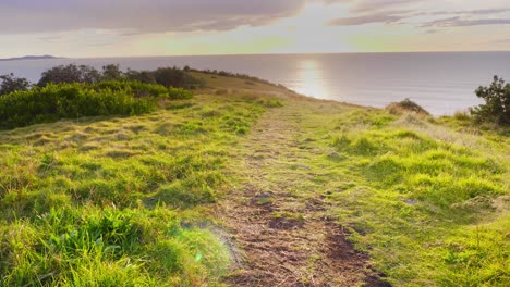 mountain trail with lush green grass at crescent head - ocean view with beautiful sunrise from the coastal mountains - sydney, nsw, australia