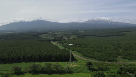 evergreen landscape with countryside road at snowcapped peak of mount kilimanjaro in kenya, africa