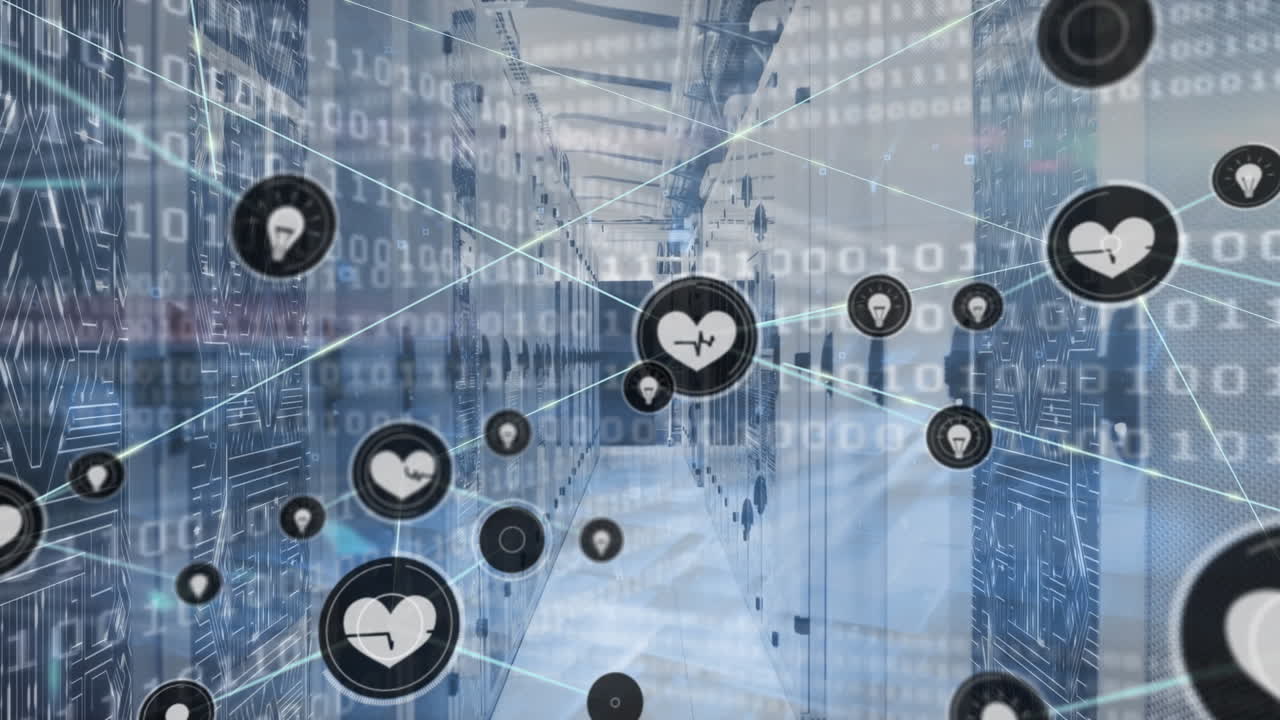 연결 네트워크의 애니메이션과 서버  ⁇ 을 통한 데이터 처리