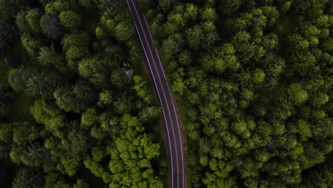 Cape-Lookout-Rd-bends-along-forested-cliffside-with-dense-tree-canopy,-bird's-eye-view