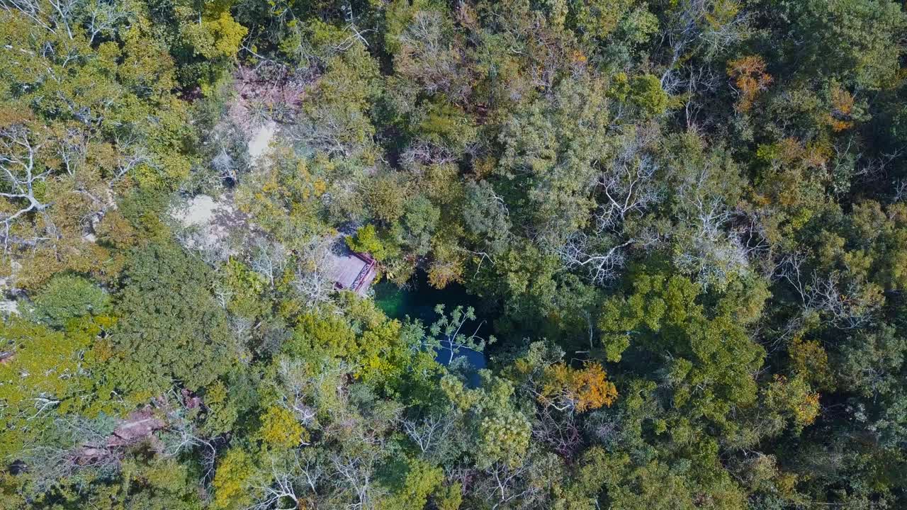 un agujero azul que aparece en medio de la jungla en méxico, toma de un cenote con drones