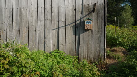 Scheunenaußenmauer-Mit-Büschen-Und-Insektenhotel