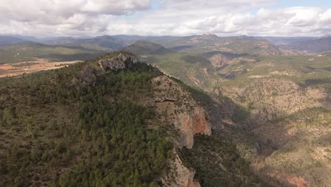 Drone-image-of-mountainous-landscape-with-pine-trees