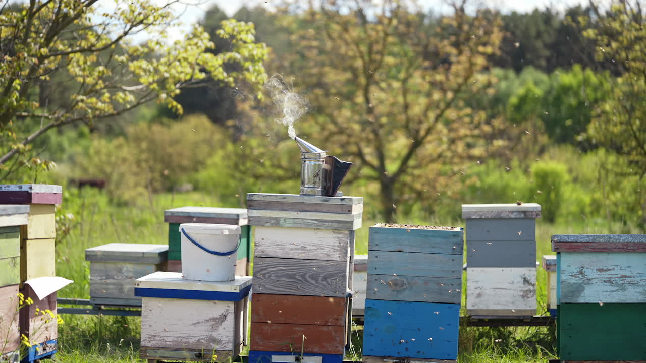 Chimney with smoke on a beehive. Smoker tool stands on a hive. Bees flying around. Beekeeping tool smoking on wooden hives background. Apiculture concept.