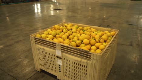 a captivating stock footage video featuring a wooden crate filled with vibrant and freshly harvested lemons