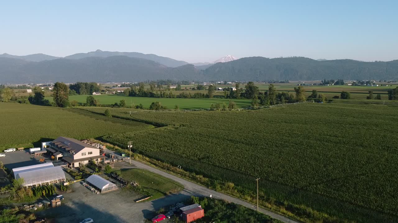 2-4 Aerial super slow fly over mountain valley farms on a sunny summer day with lush green rows of crop vineyards fruit at a cultivated countryside with a natural scenic ripe harvest of the plentiful