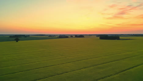 Hermosa-Toma-En-Movimiento-Hacia-Atrás-Sobre-Un-Interminable-Campo-Agrícola-Verde-Durante-La-Noche