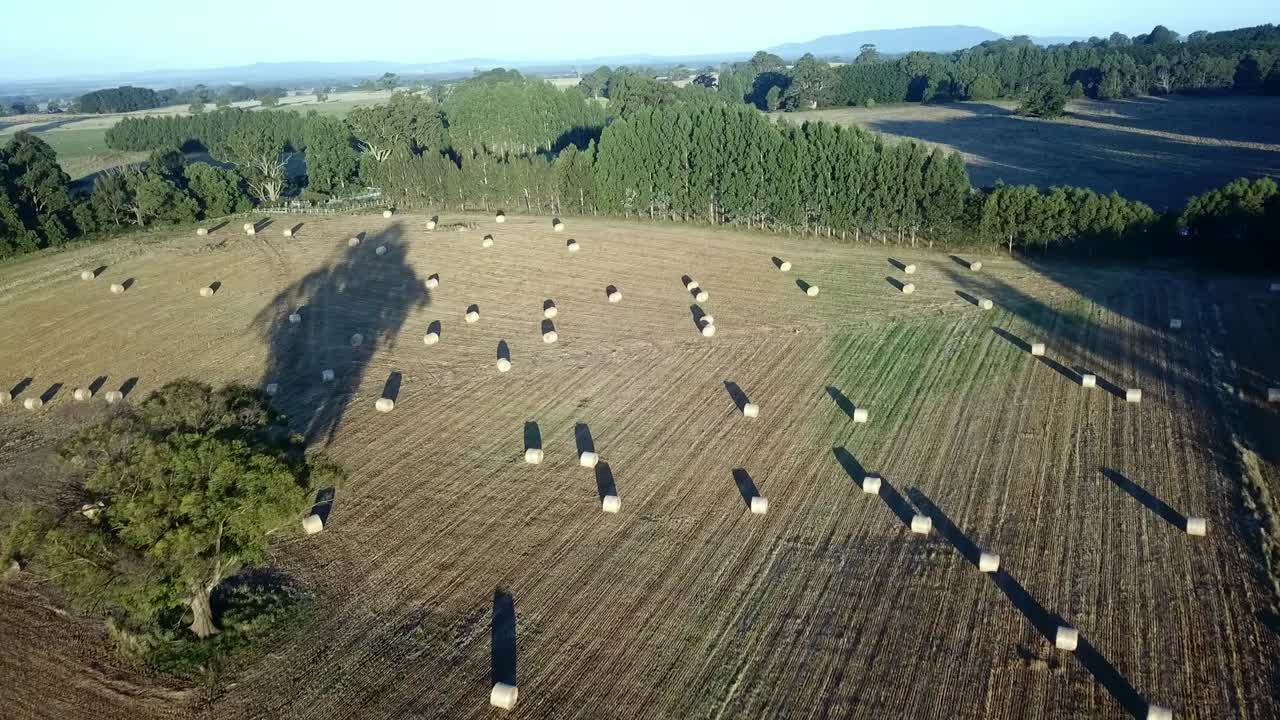 imágenes aéreas lejos del sol de haybales redondos en un campo cerca de trentham este, victoria central, australia