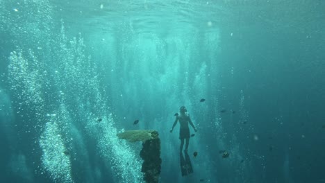 diver exploring the liberty shipwreck in tulamben, bali, surrounded by vibrant marine life