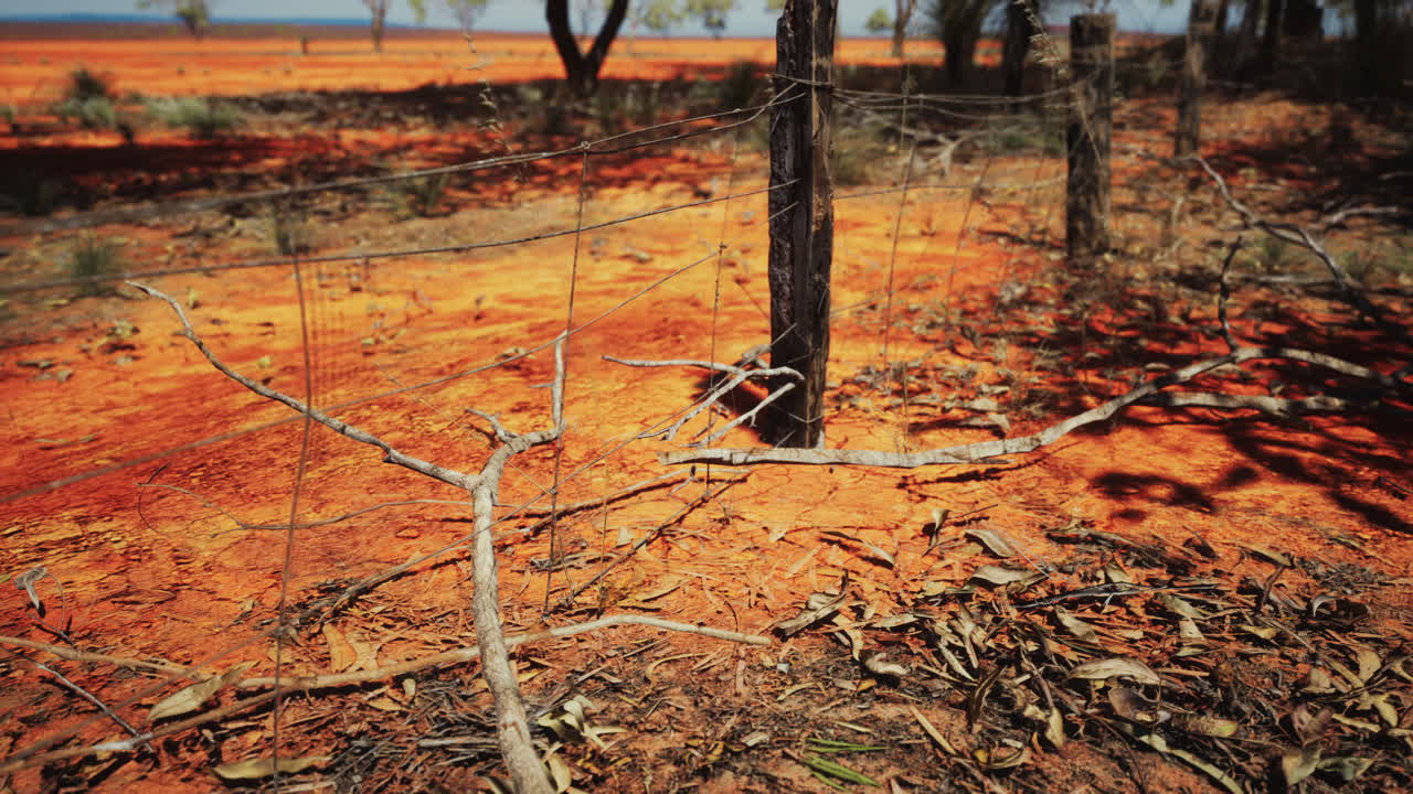 가시 와이어 울타리 와 건조 한 관목 을 가진  ⁇ 파스