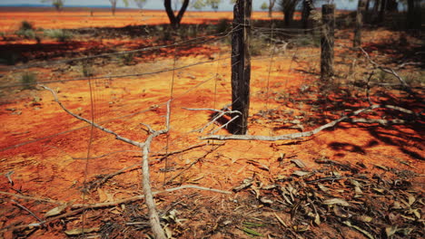 pampas con cerca de alambre de púas y arbustos secos