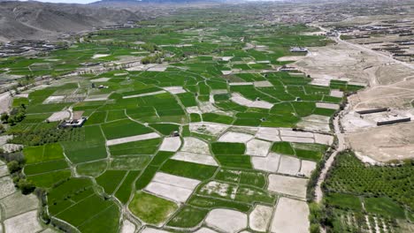 farms in the rural areas of paktia