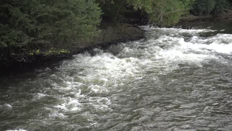 Brandywine-Creek-In-Rockland,-Delaware