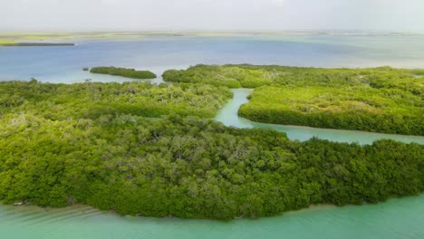 sunrise aerial view of the mangrove forests in the sian ka'an biosphere reserve