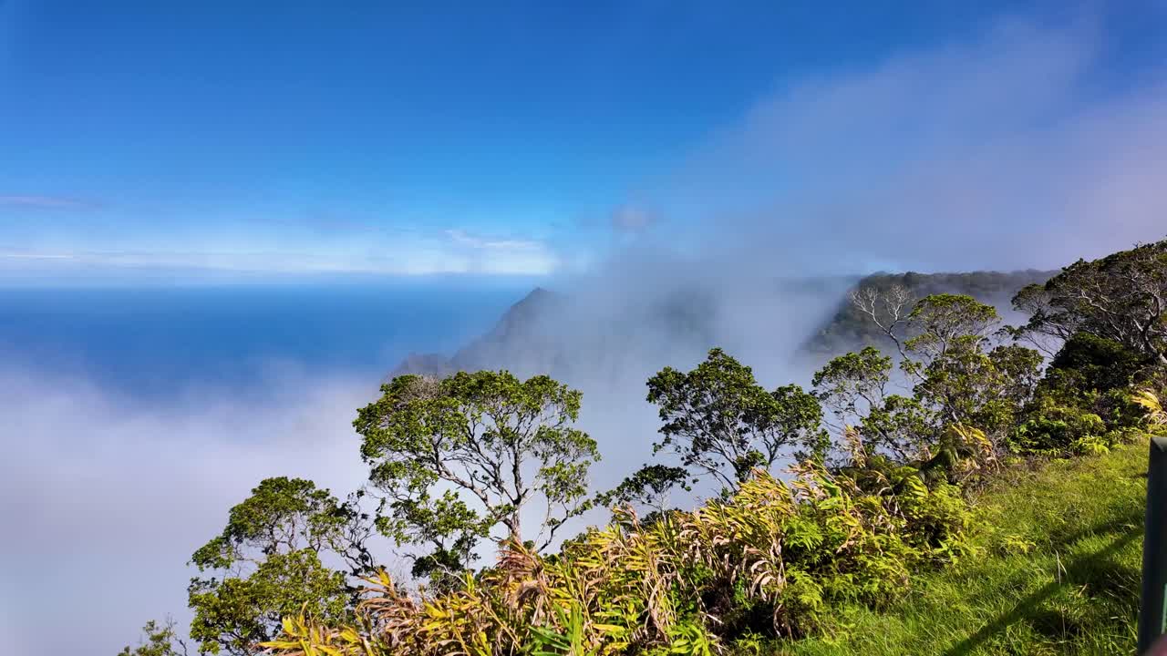 마제스틱 칼라우 전망대, 카우아이, 하와이