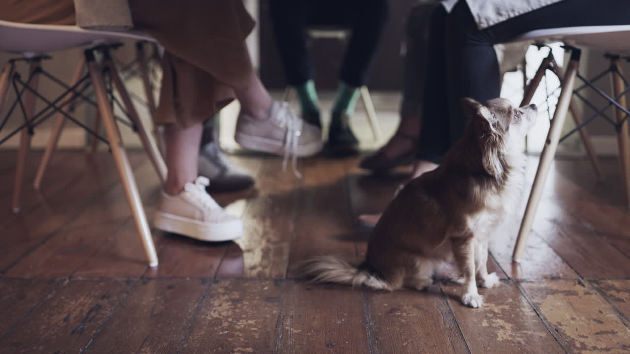 It&rsquo;s Christmas lunch and everyone&rsquo;s invited
