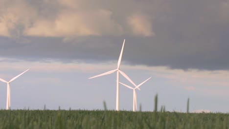 wind turbines in wheat field