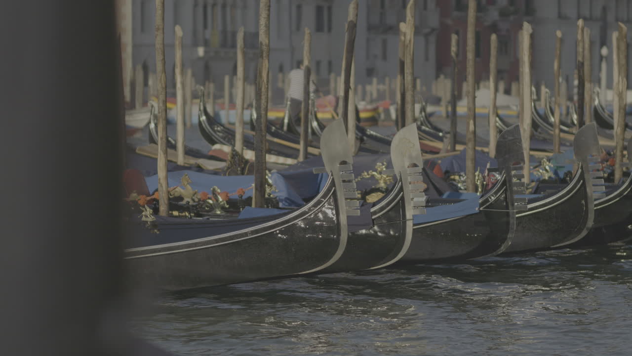 Gondole attraccate a Venezia, Italia