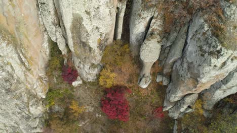 autumnal rocky mountain view