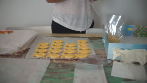 Imágenes-De-Una-Mujer-Caucásica-Haciendo-Galletas-De-Pescado