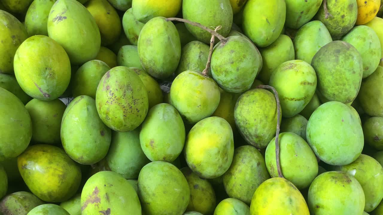 una multitud de mangos verdes recién recogidos