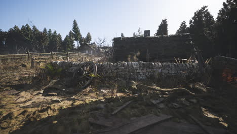 abandoned farmhouse ruins in a forest