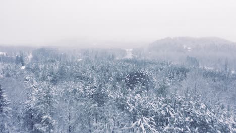 Paisaje-Invernal-Brumoso---Drone-Volando-4k---Montañas---árboles,-Ríos,-Nevados