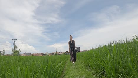 a woman with a camera is walking on a path through growing rice fields of bali, indonesia