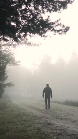 man walking through misty forest