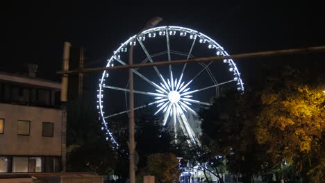 ferris wheel at night