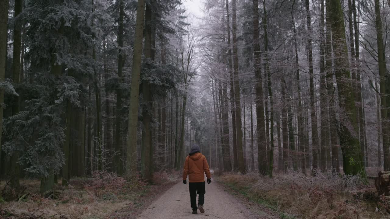 A person walks through a cold winter forest, center framed in the shot. Frosted trees surround the path, creating a quiet and restrained winter atmosphere