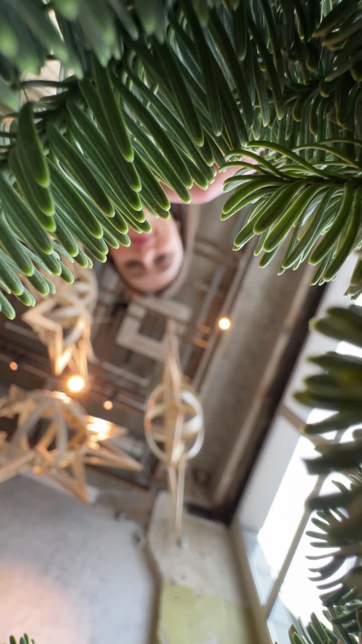 Persona che guarda in alto attraverso i rami dell'albero di Natale