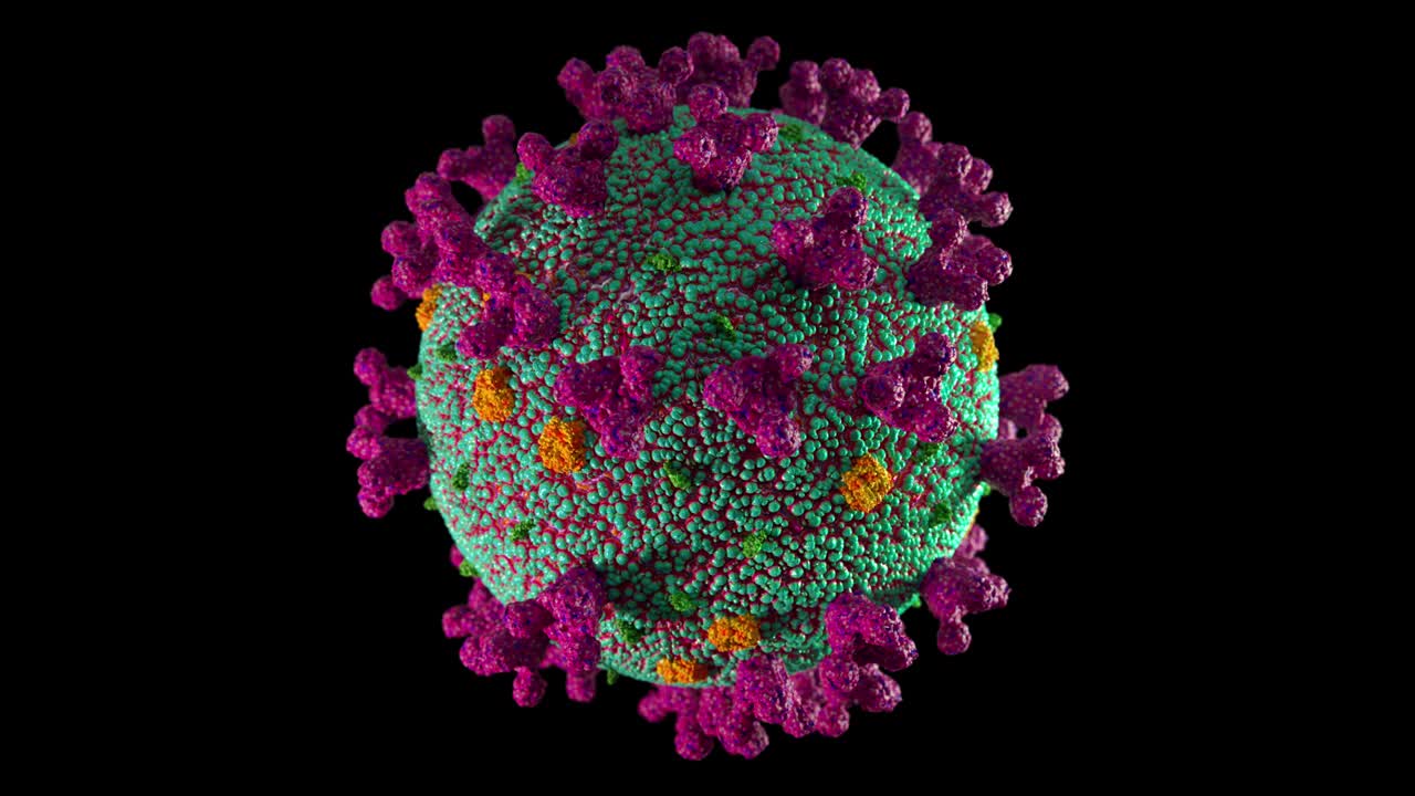 bucle de coronavirus giratorio