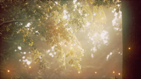 sunlight shining through the leaves of trees in a forest