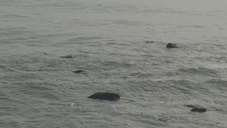 海洋岩石沉浸在海灘的野生波浪水中 大岩石馬利布在黃金時間